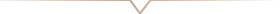 line_2-1-2-2-4.webp